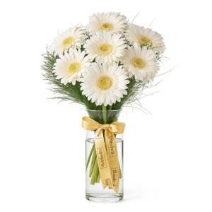 Vazoda Beyaz Gerbera