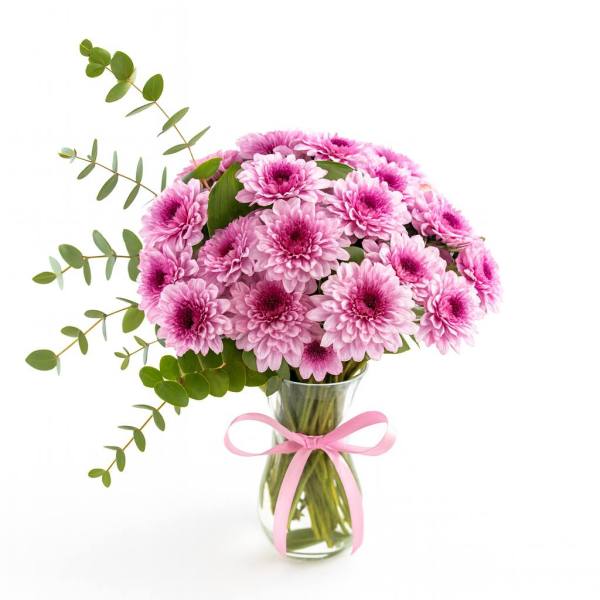 Taze Rüya Kasımpatı