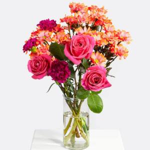 Hindistan'ın Renkleri